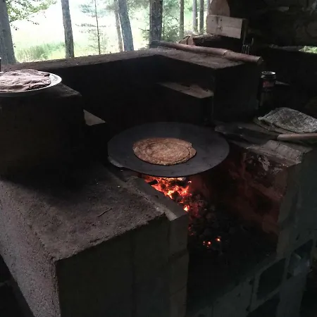 Nenaeniemi ヴィラ Tammijärvi